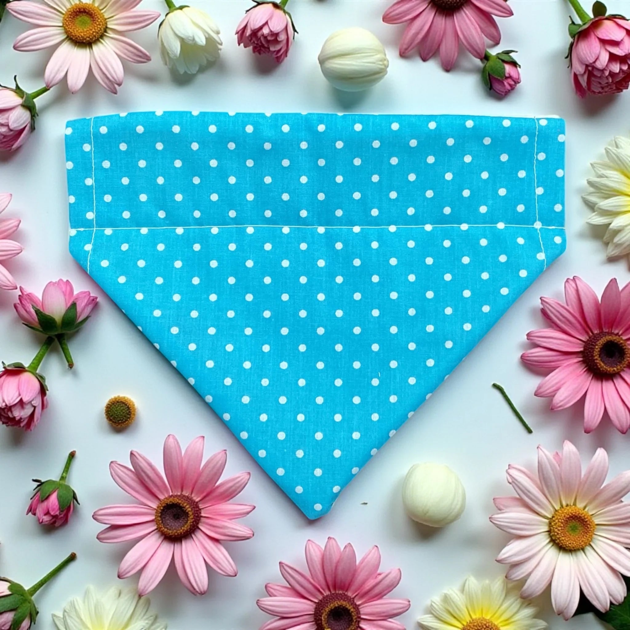 Bandana - Polka Dot Turquoise
