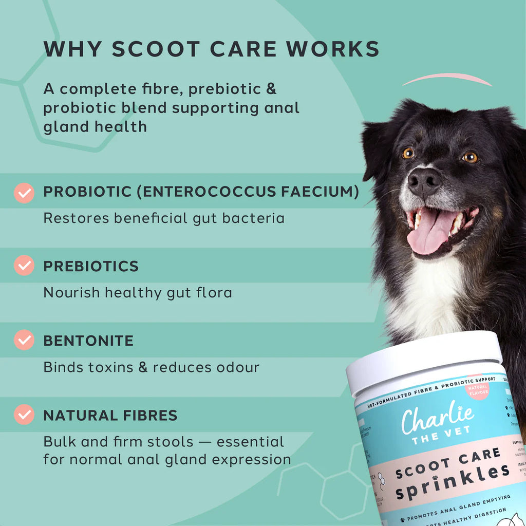 Scoot Care