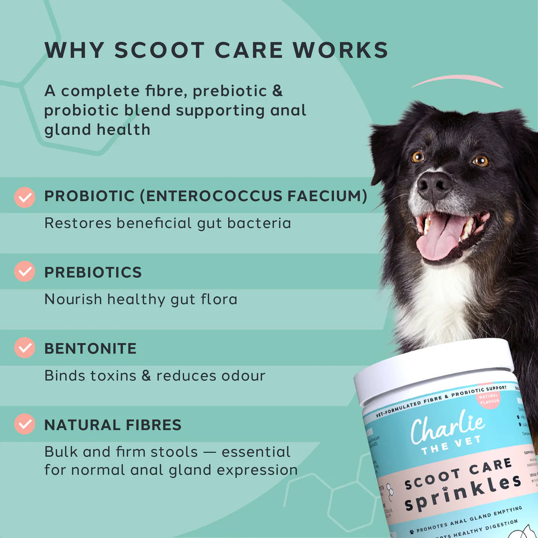 Scoot Care