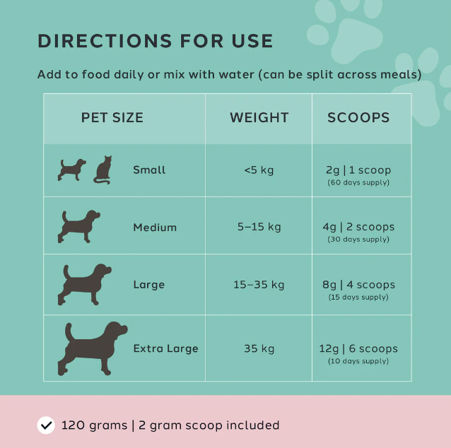 Gut Care