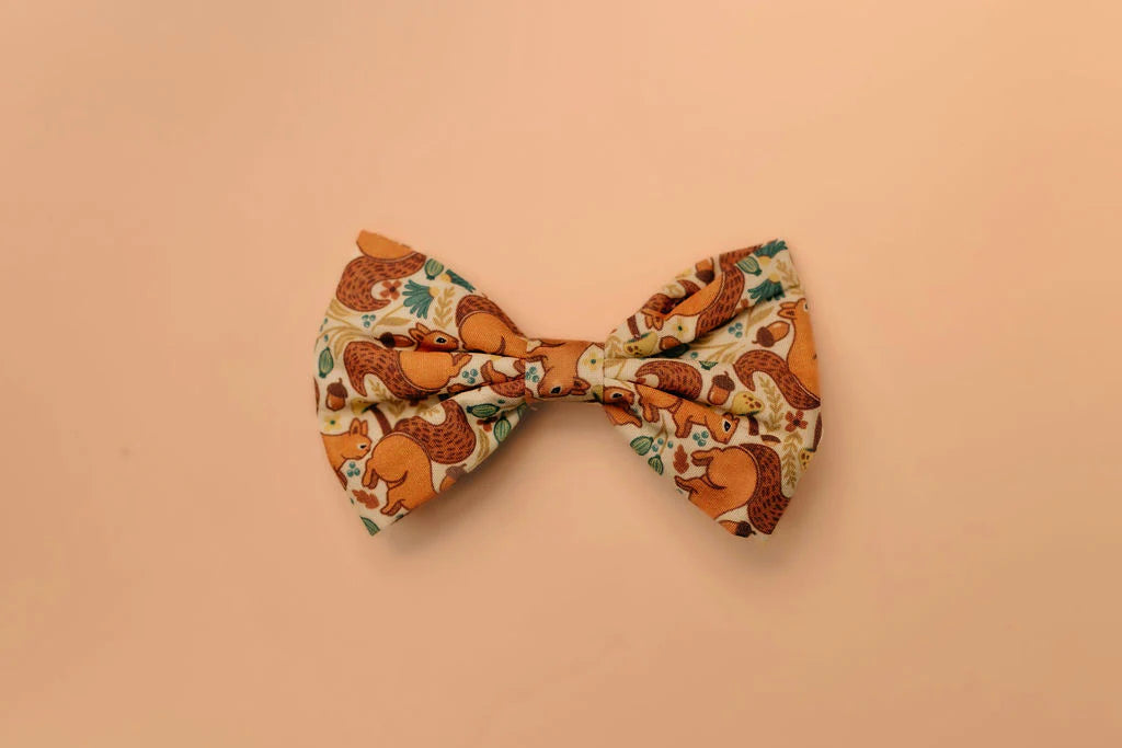 Splendid Squirrel Dog Bow Tie