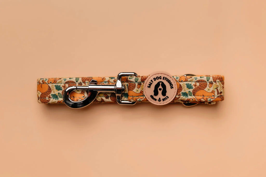 Splendid Squirrels Dog Lead