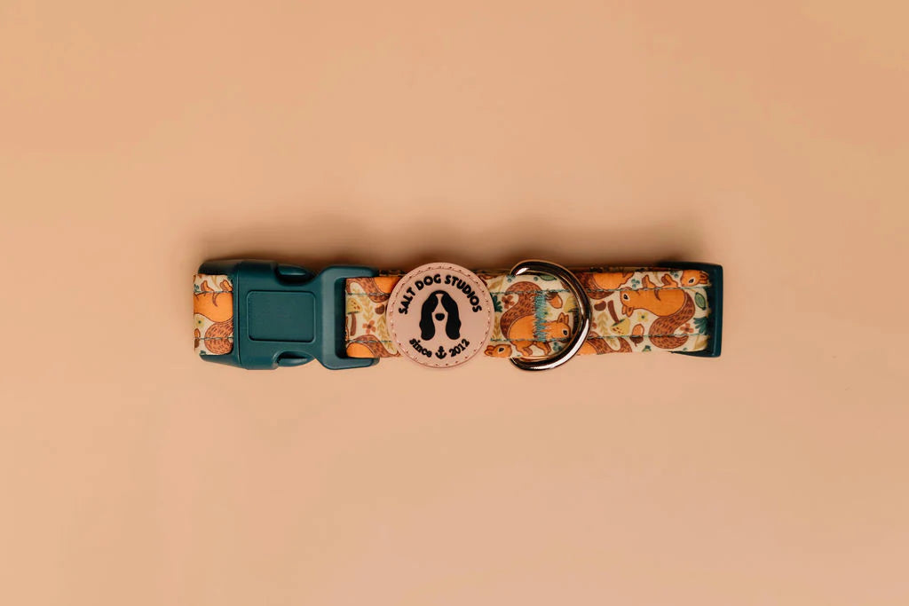 Splendid Squirrels Dog Collar