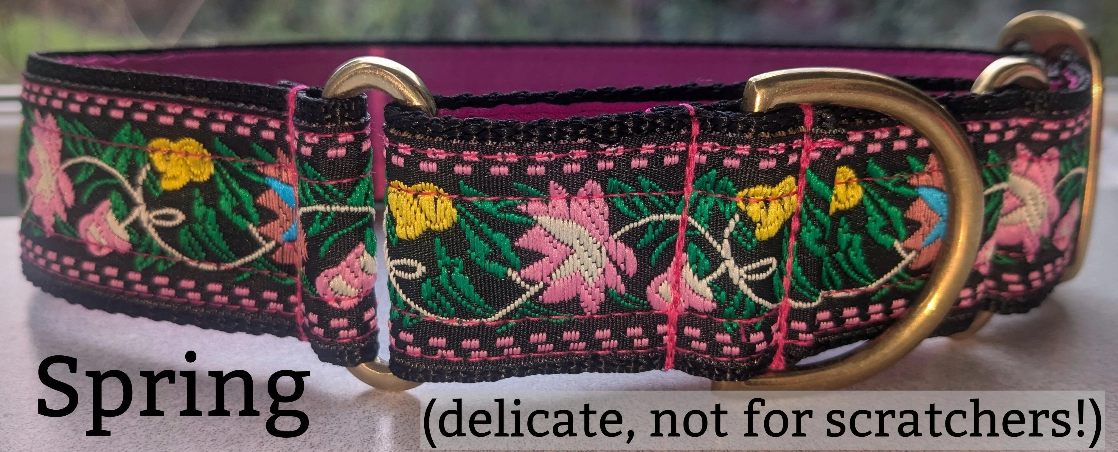 40mm wide Sighthound Collar - Spring