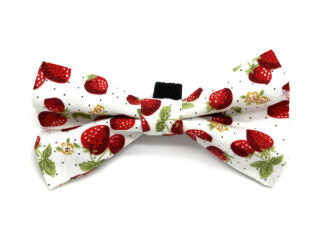 Strawberry Dickie Bow Tie