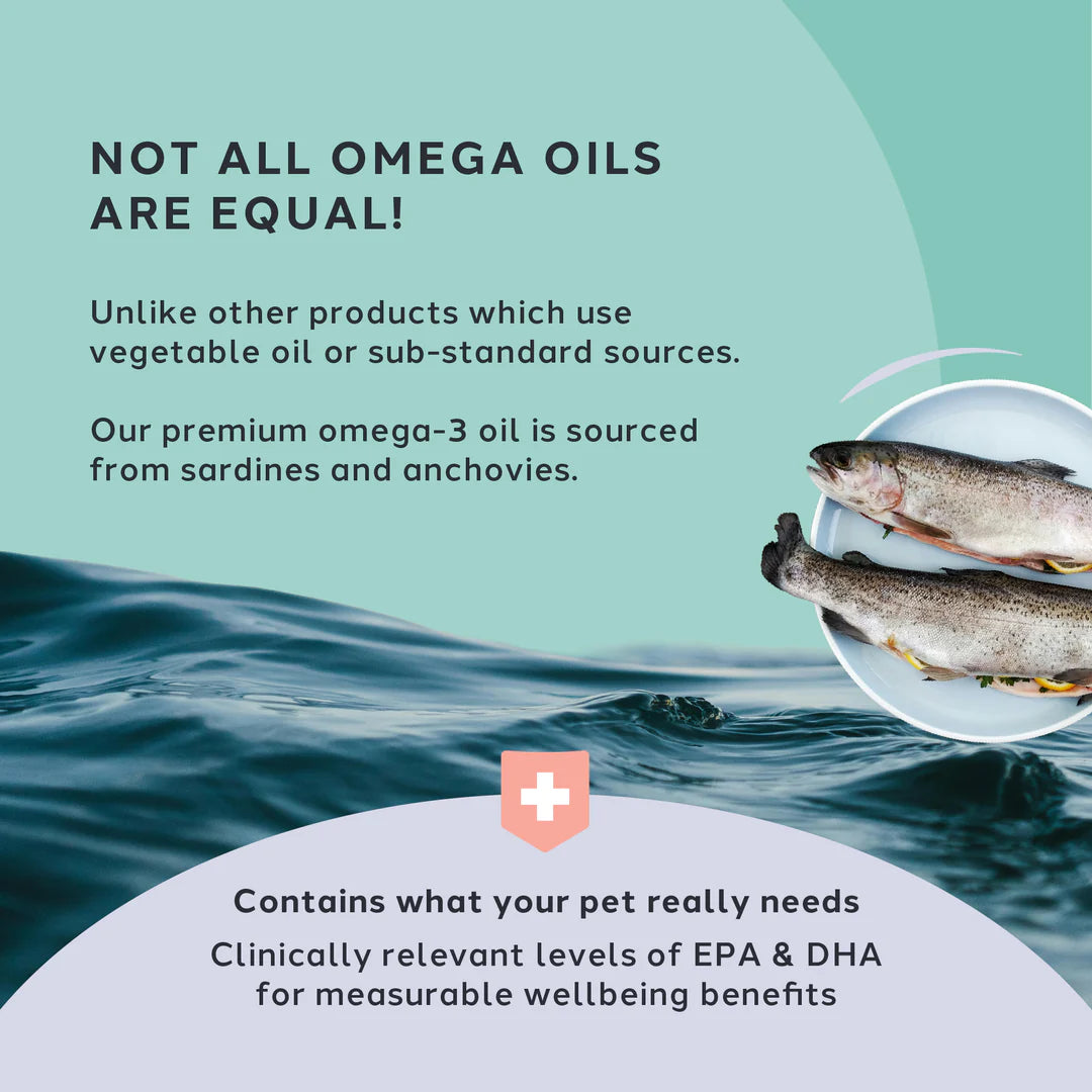 Vitality Care