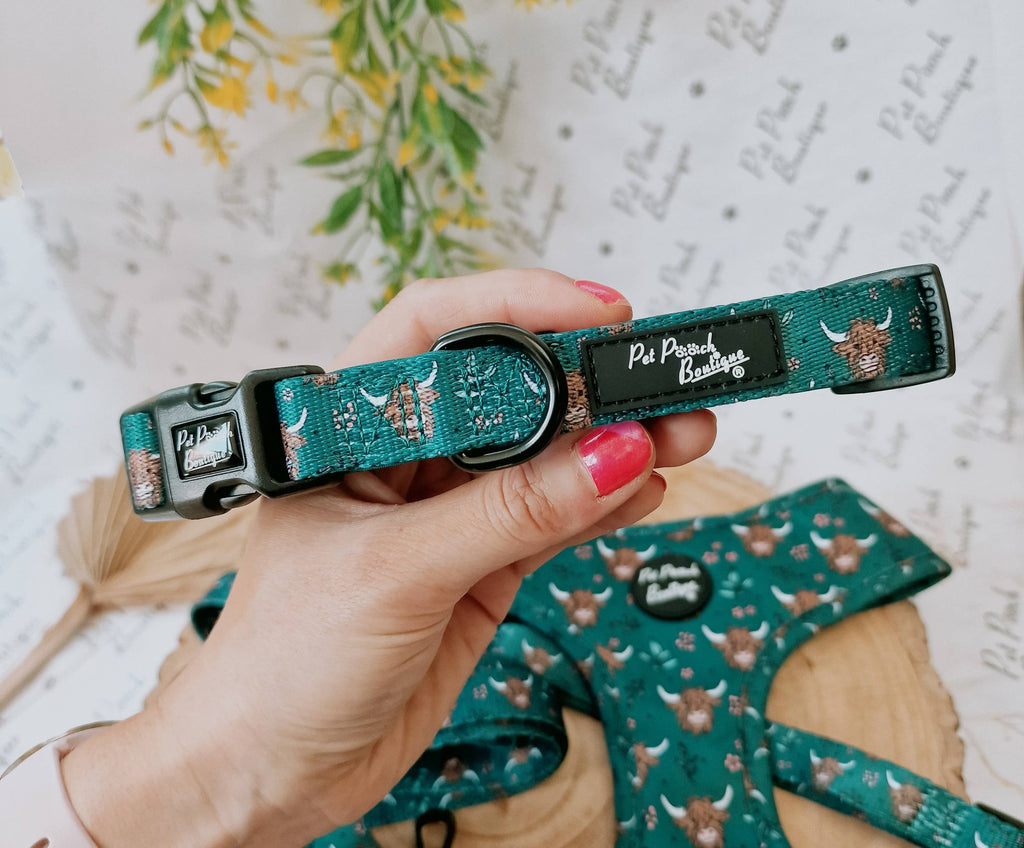Happy Highland Cow Dog Collar - Size S-L (autumn/animals)