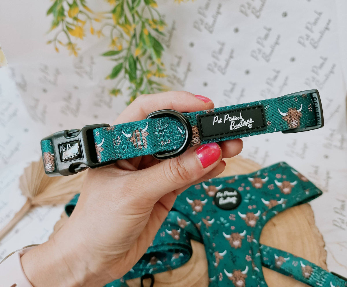 Happy Highland Cow Dog Collar - Size S-L (autumn/animals)