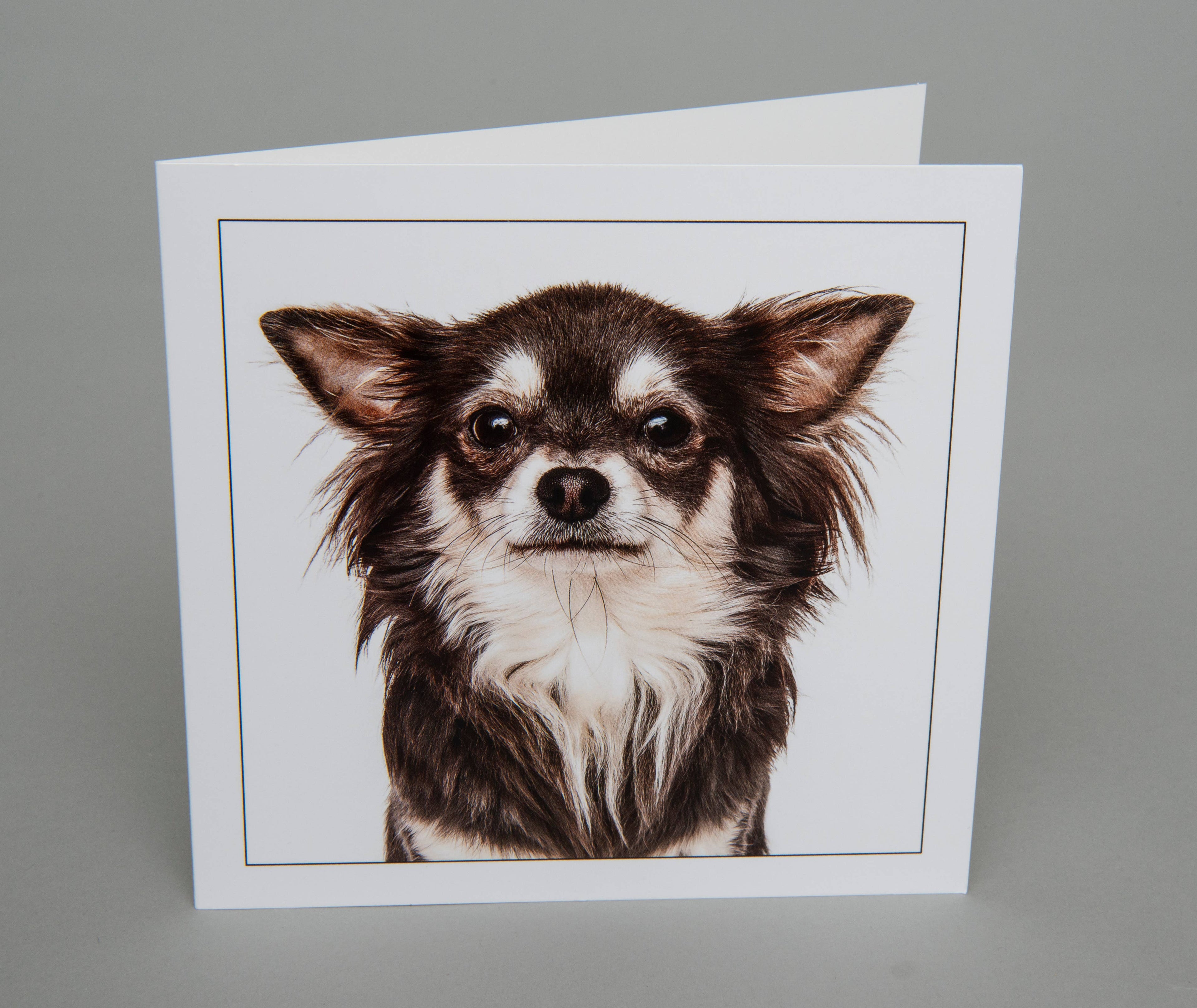 Long haired chihuahua - Dog Greeting Card