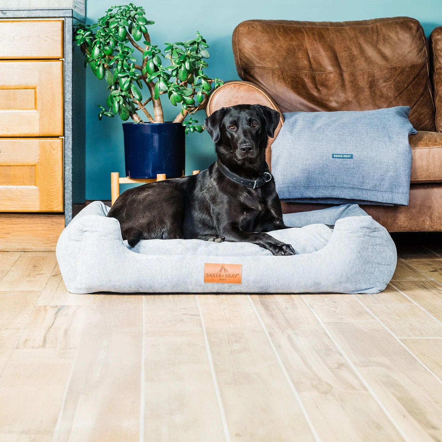 The Ultimate - Eco Friendly Orthopaedic Luxury Dog Bed