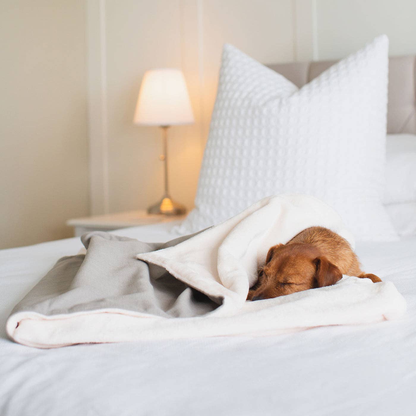Dog & Puppy Blanket in Savanna Stone