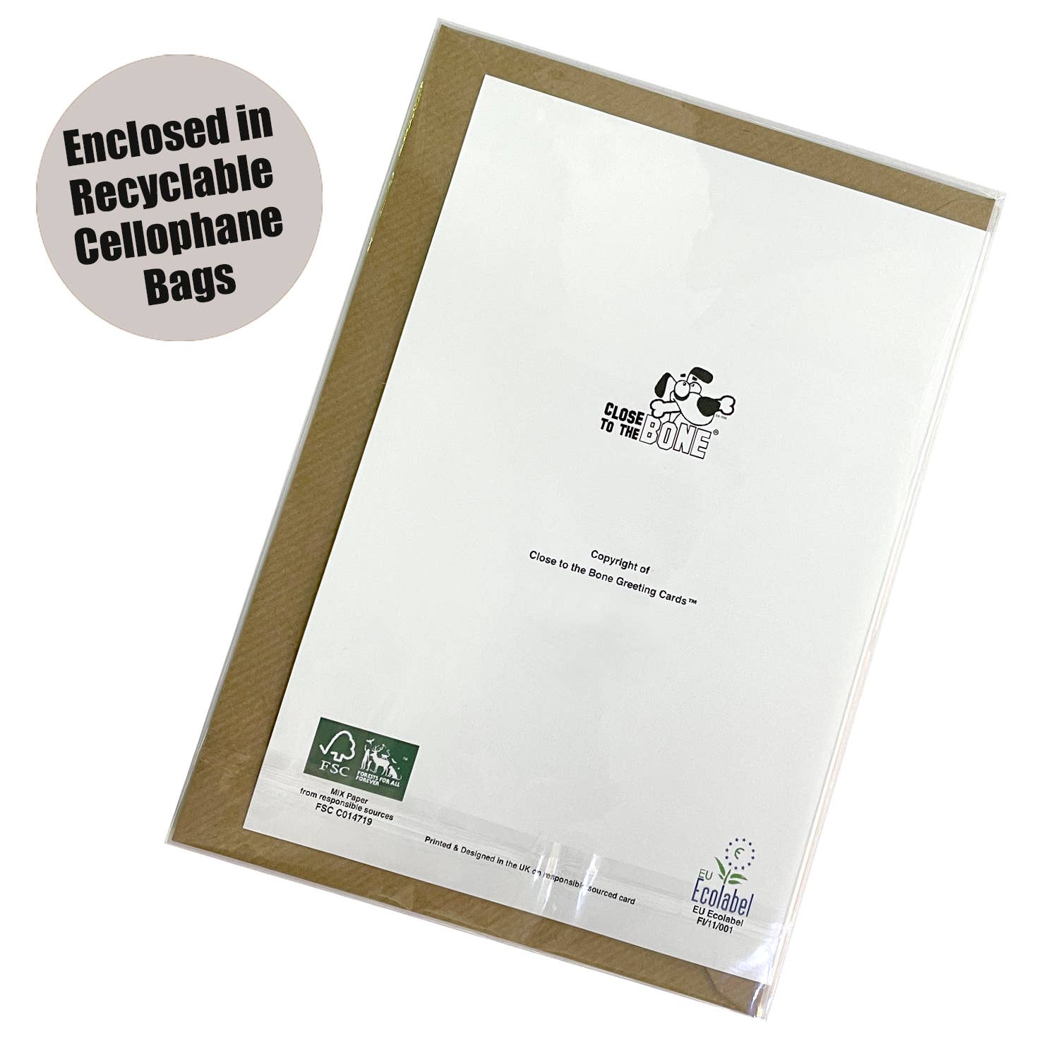 Poodle Biker Chick Birthday Card