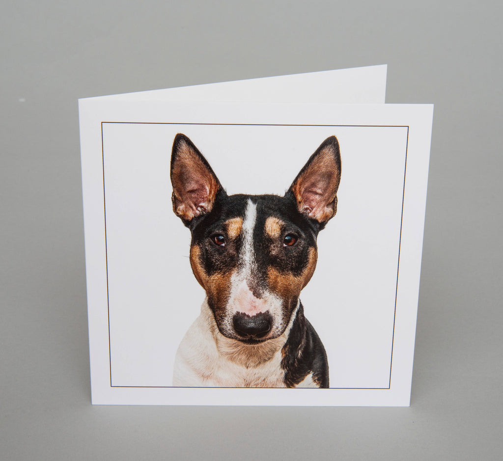English bull terrie/brindle dog  - Dog Greeting Card