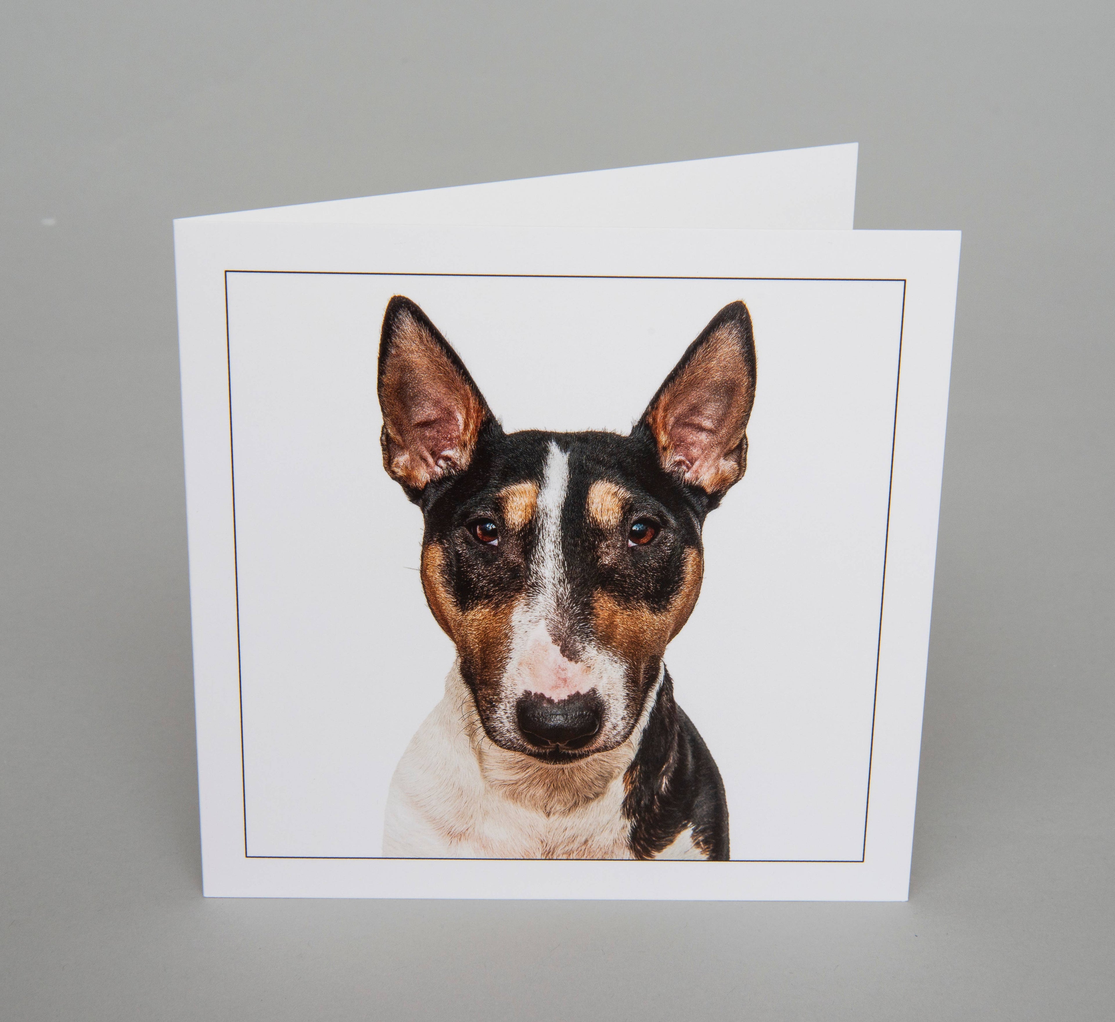 English bull terrie/brindle dog  - Dog Greeting Card