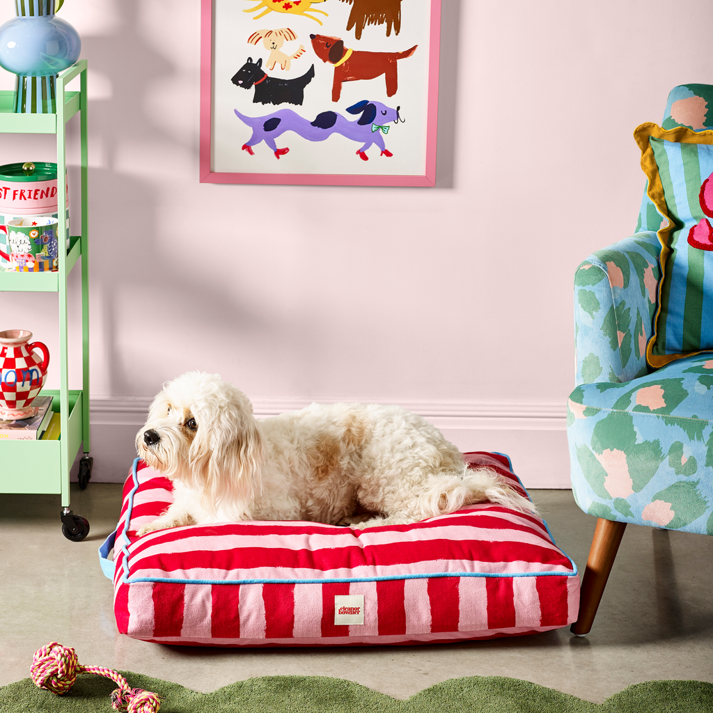 Flat Pet Bed