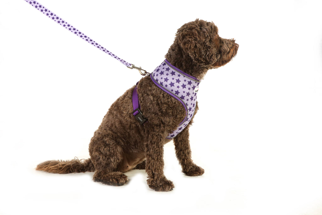 Airmesh Dog Harness