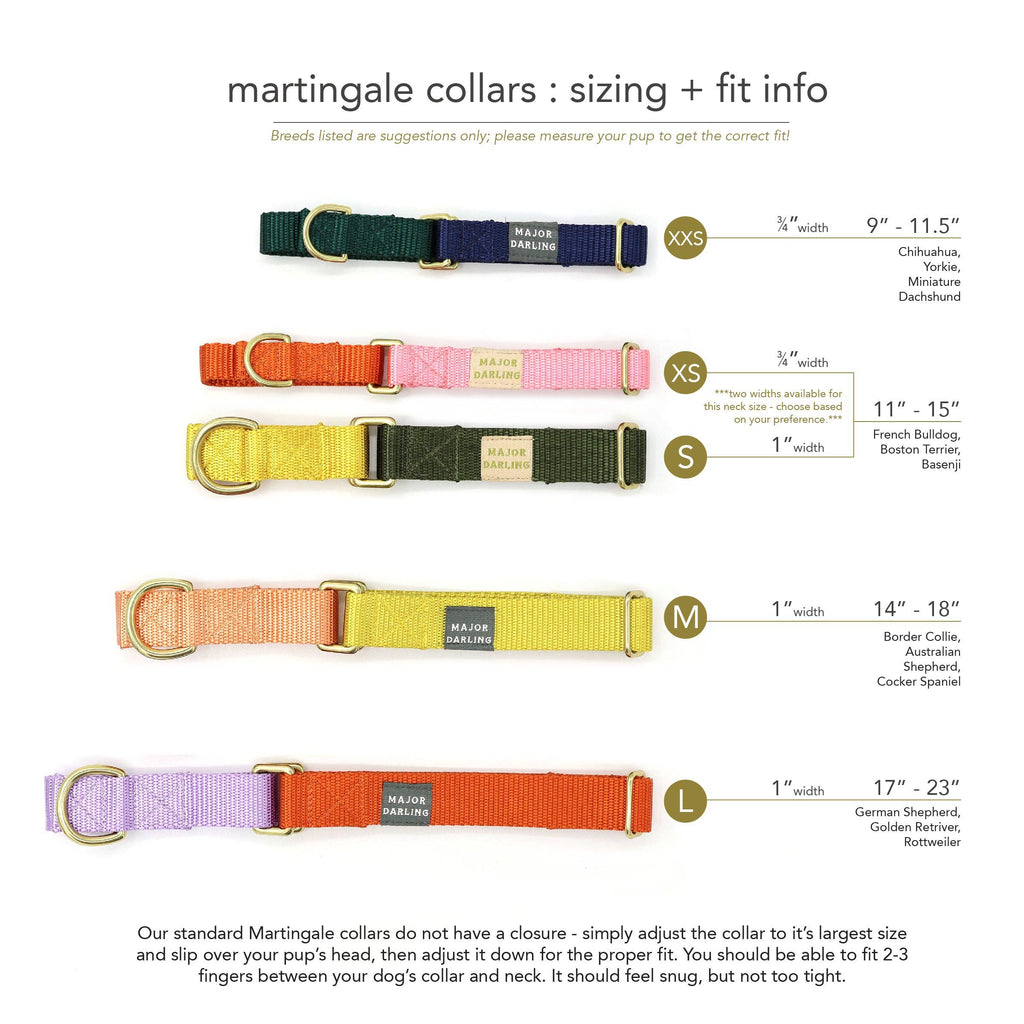 Martingale Collar / Navy + Forest