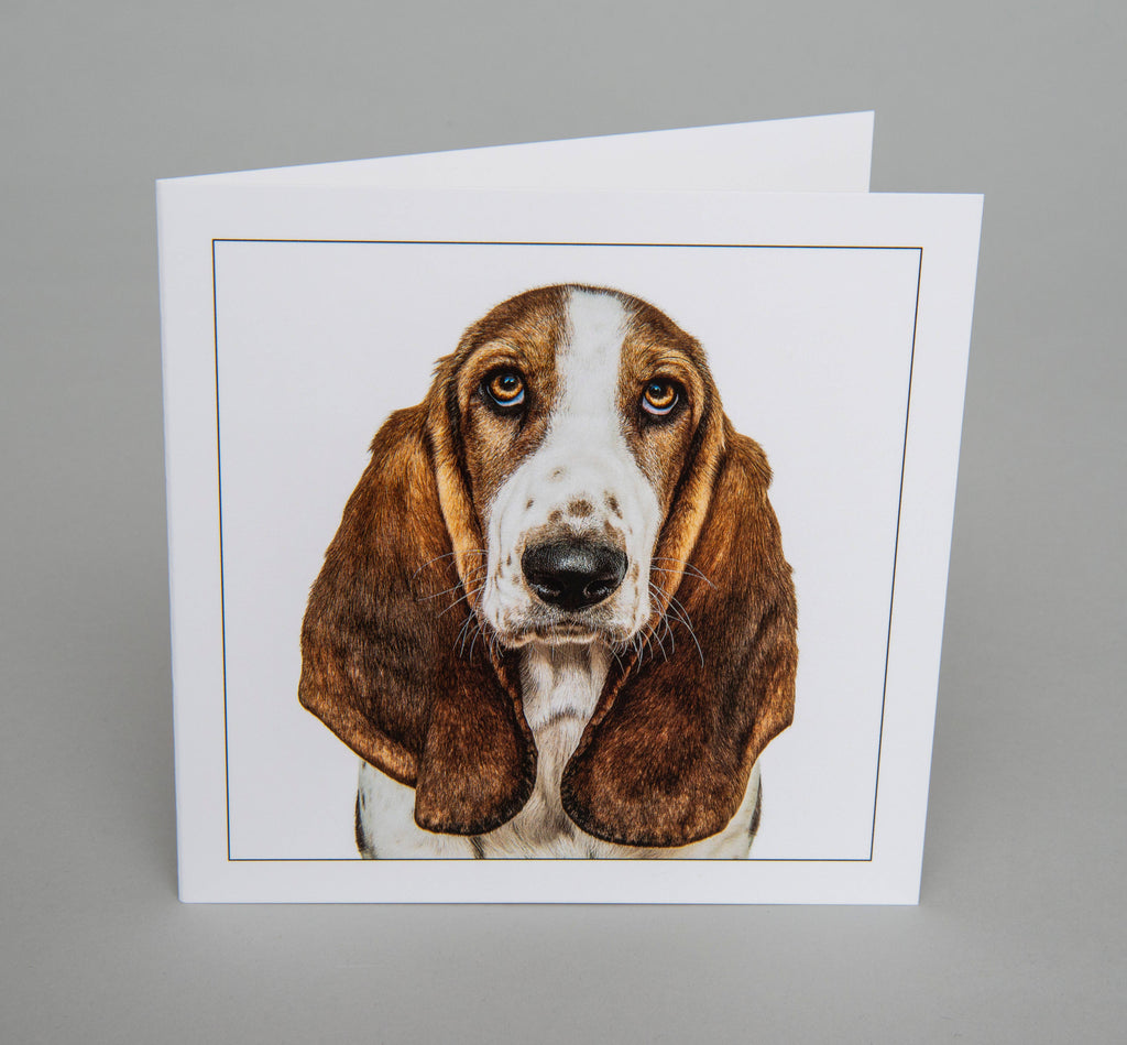 Basset hound - Dog Greeting Card