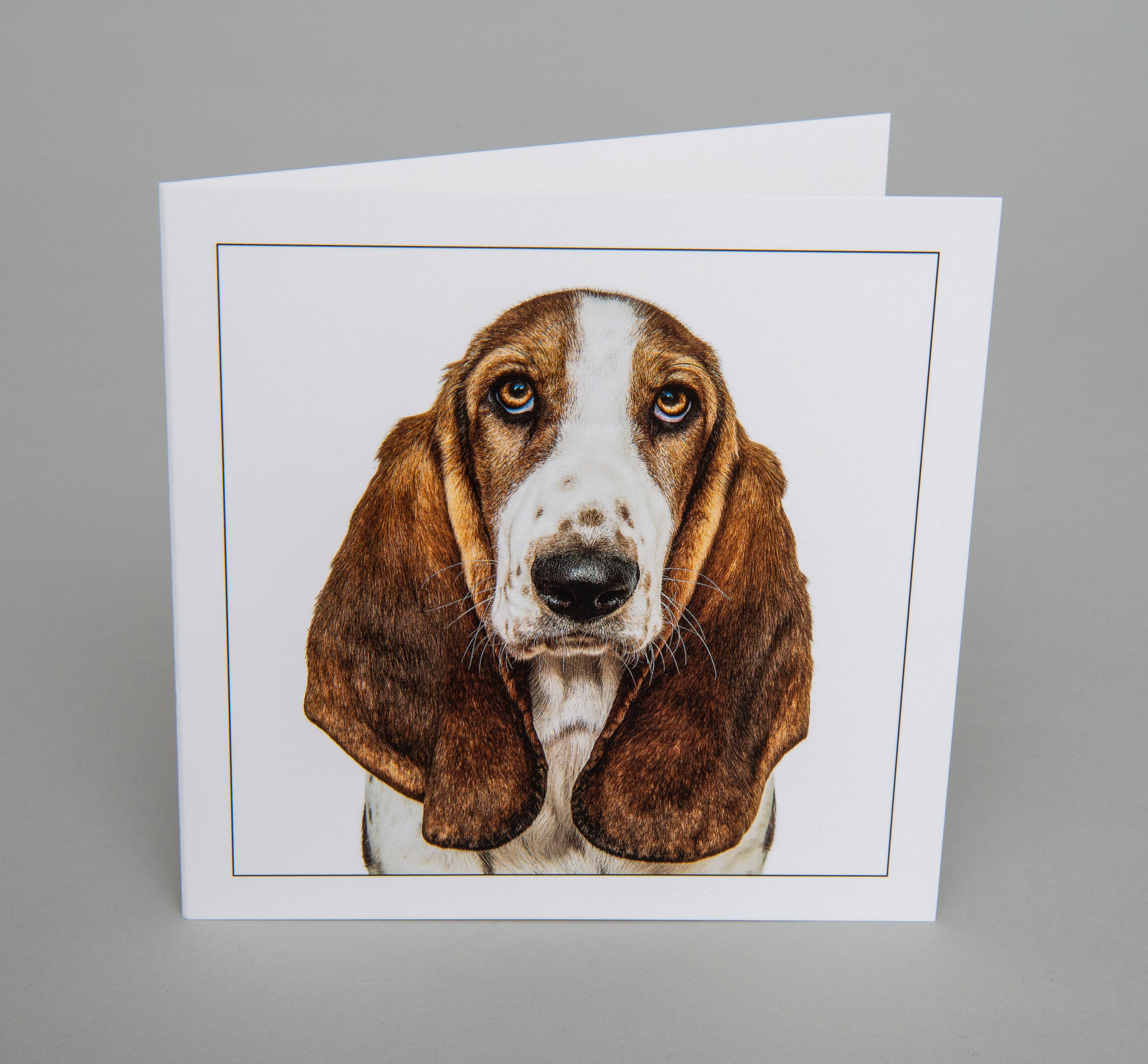 Basset hound - Dog Greeting Card