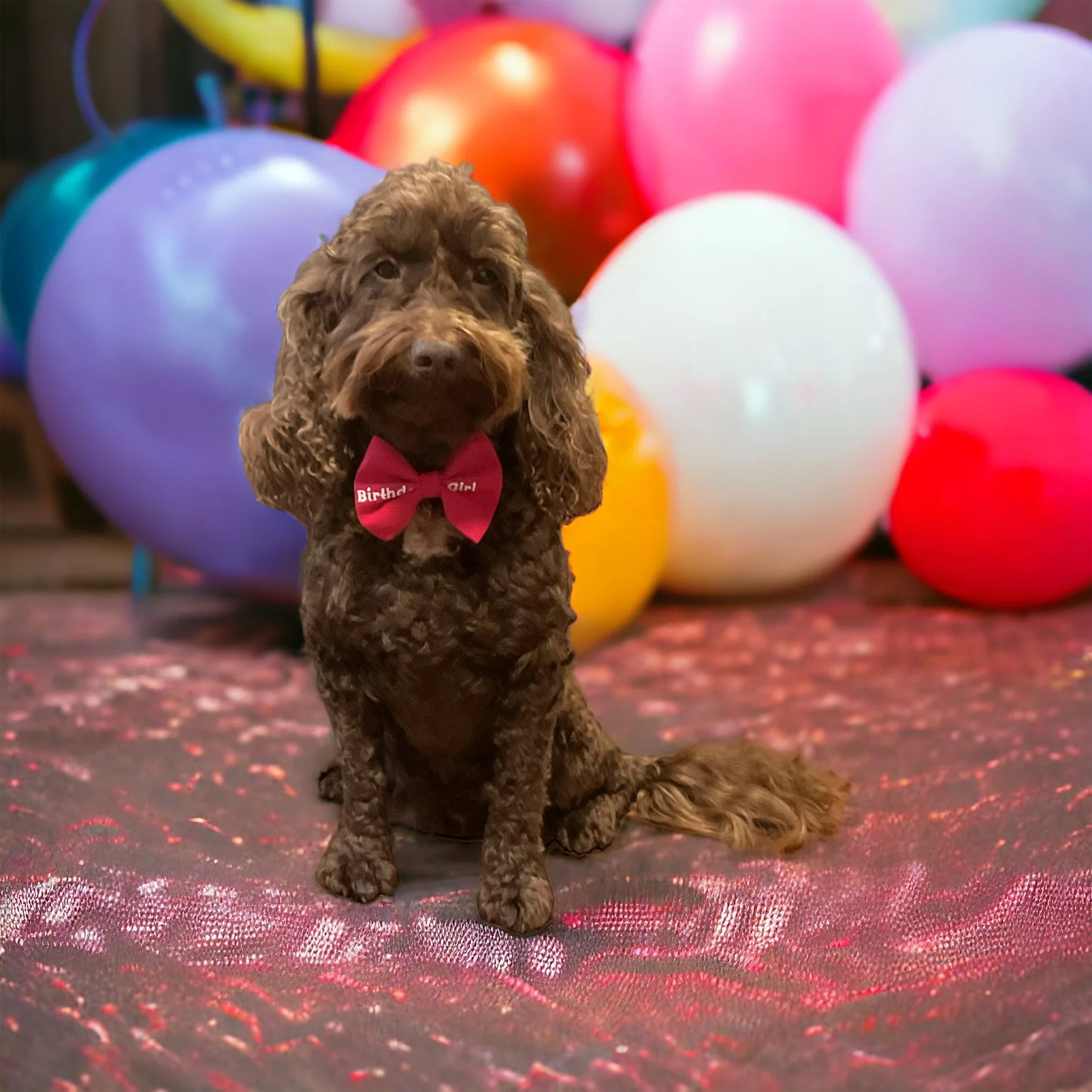 Birthday Girl Bow Tie