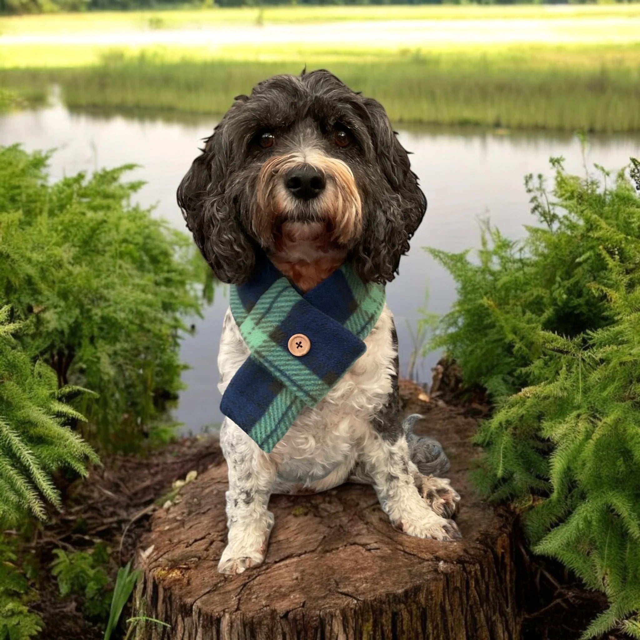 Tartan Scarf - Blue/Green