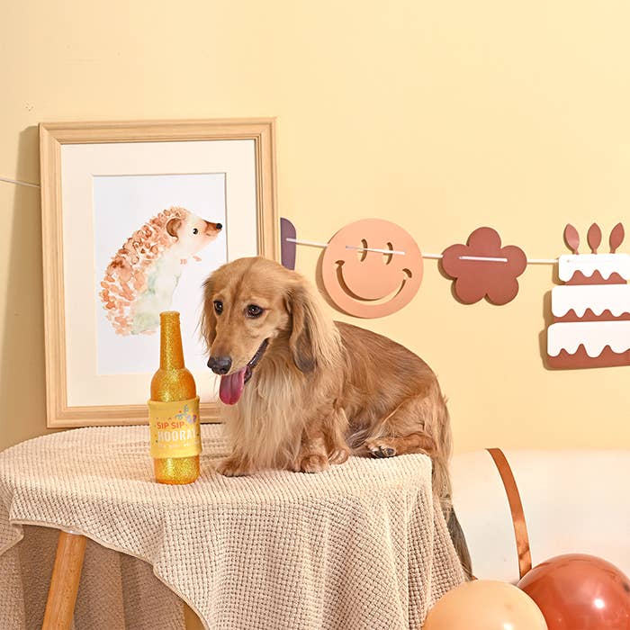 HugSmart Pet - Yappy Birthday | Birthday Wine - TPR Rubber