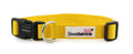 Dog Collar - Sunshine
