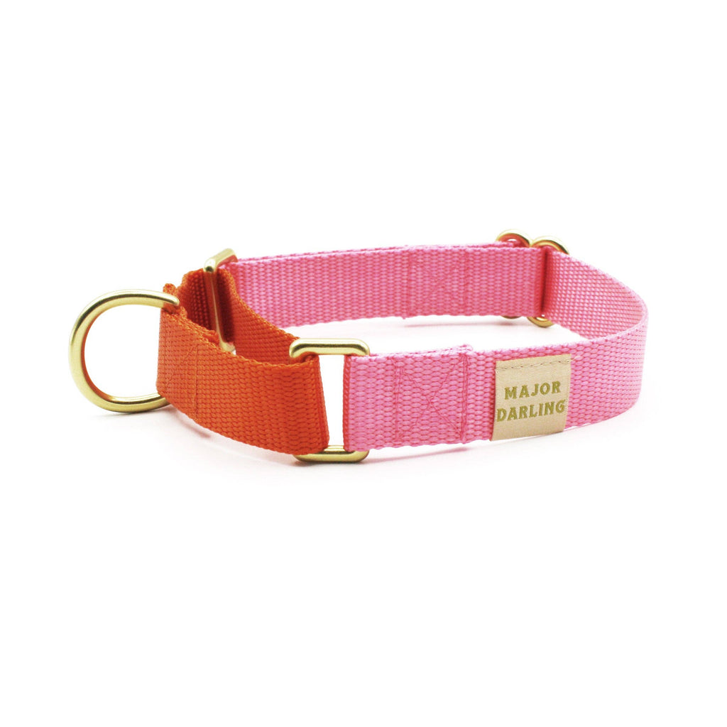 Martingale Collar / Pink + Orange