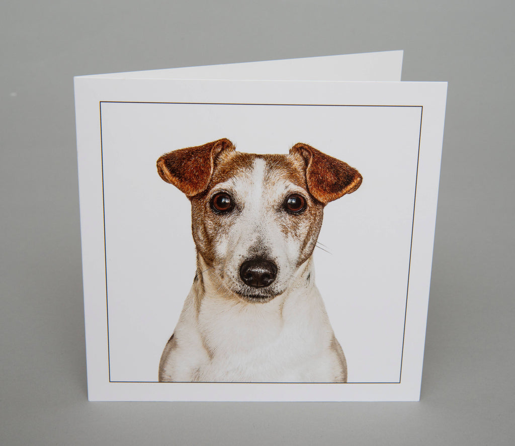 Jack russel terrier - Dog Greeting Card