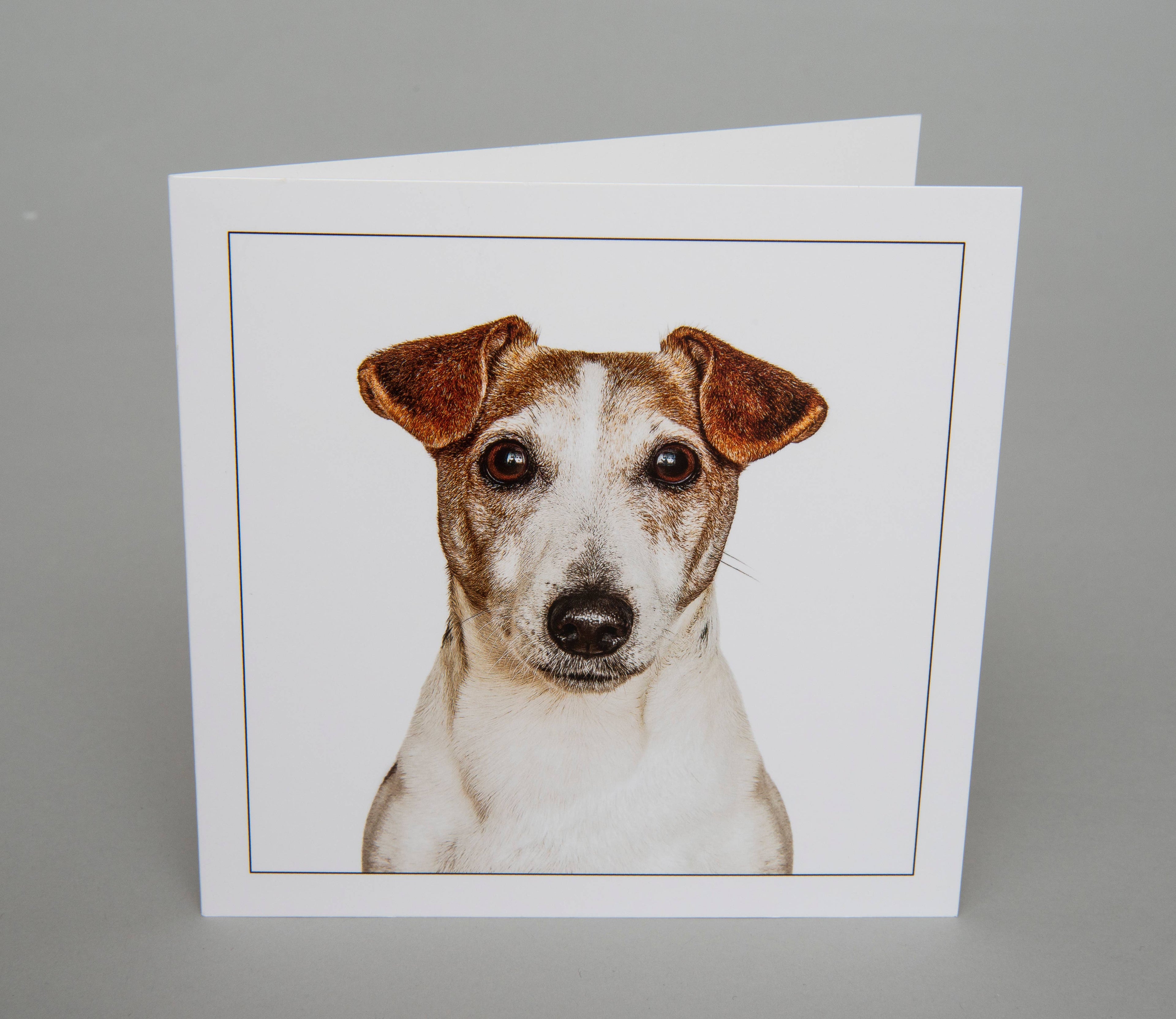 Jack russel terrier - Dog Greeting Card