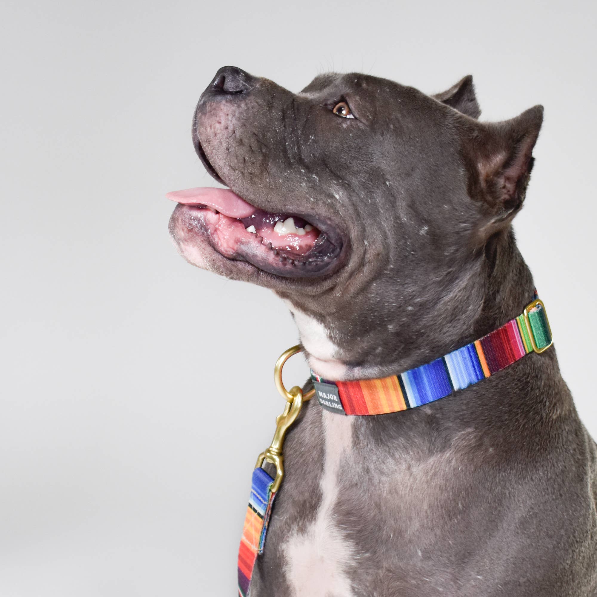 Serape Print Lead