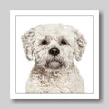 Bichon friese - Dog Greeting Card