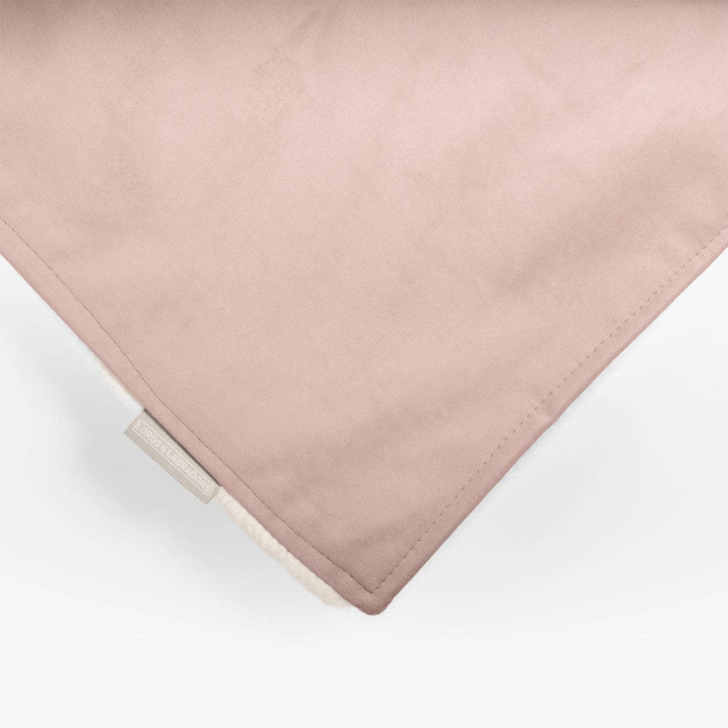 Dog & Puppy Blanket in Blossom Velvet