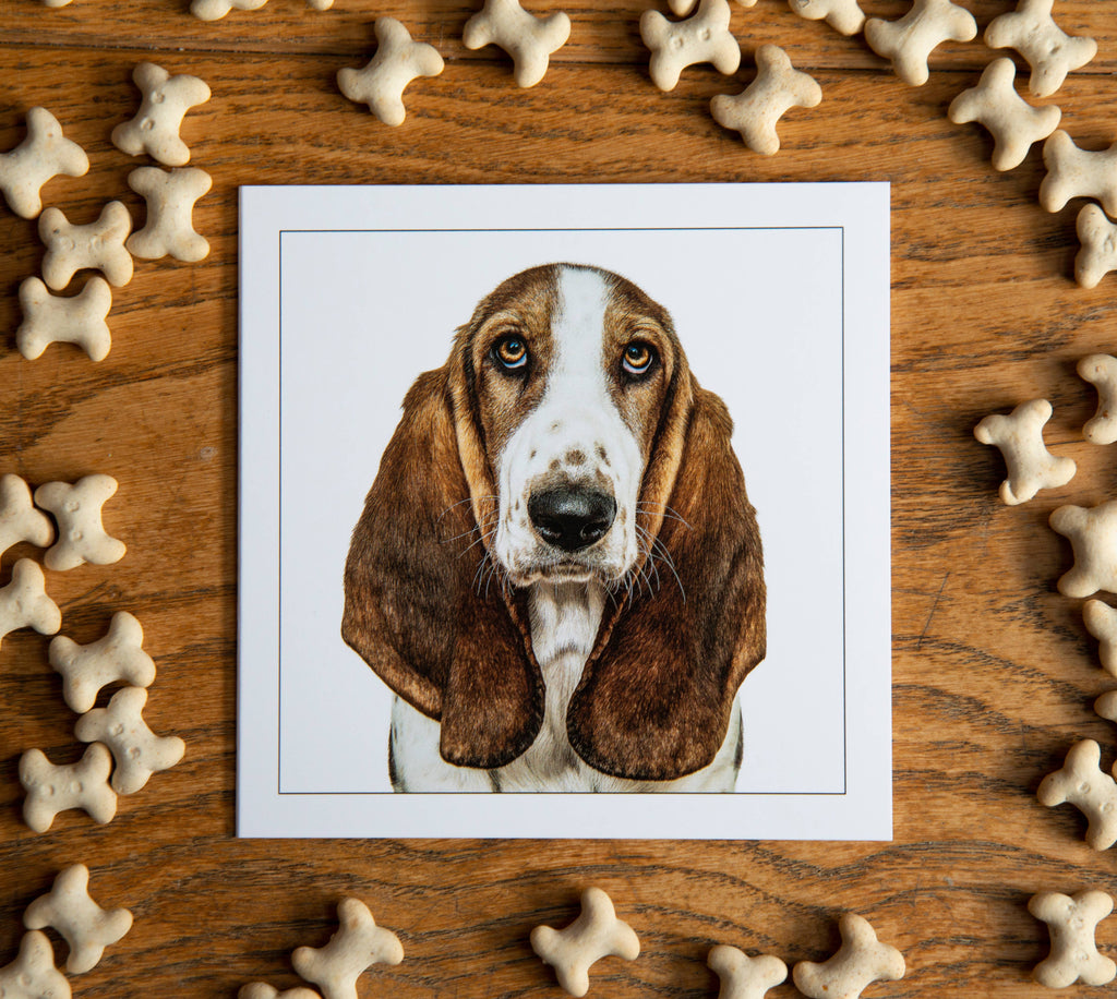 Basset hound - Dog Greeting Card