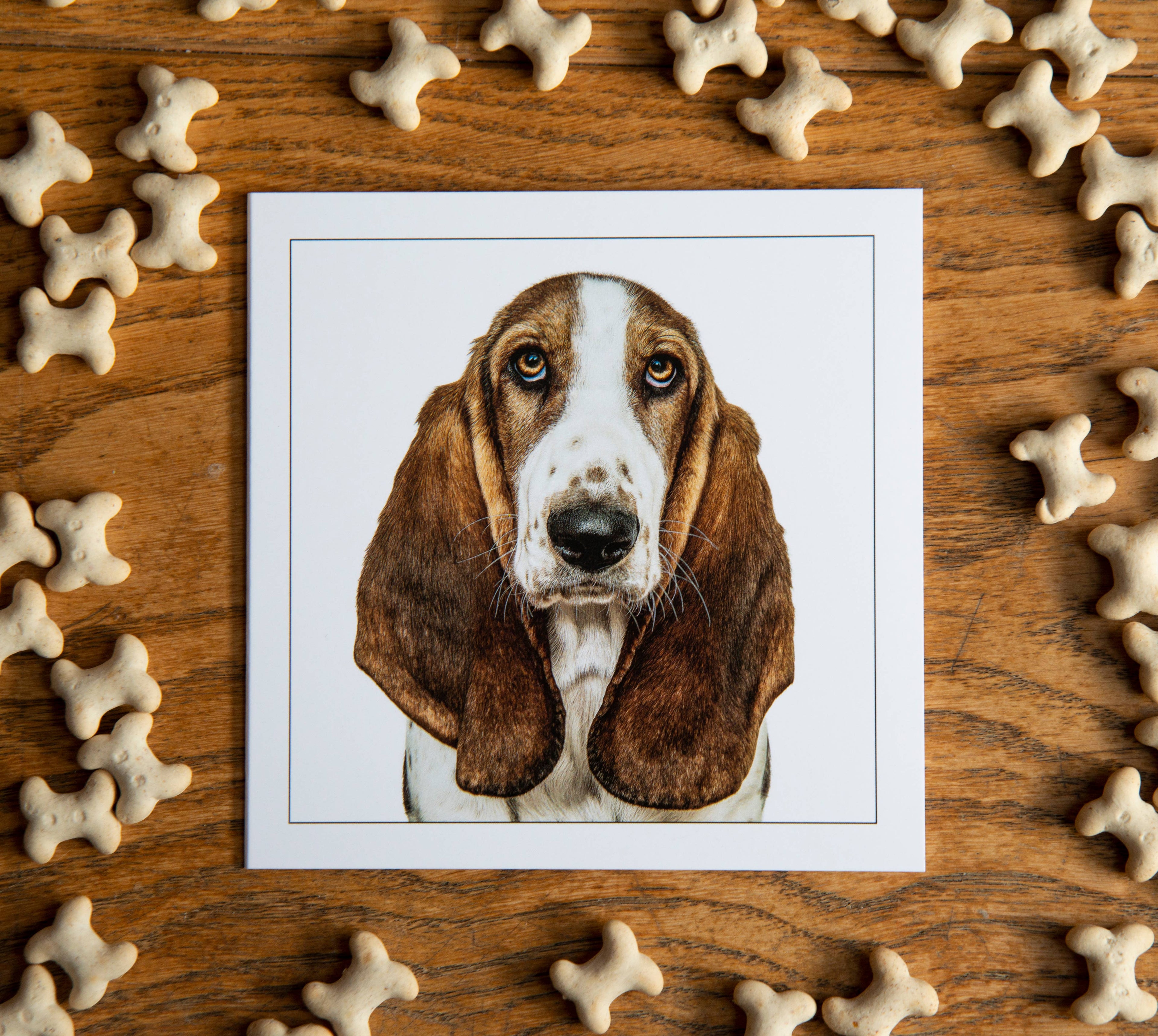 Basset hound - Dog Greeting Card