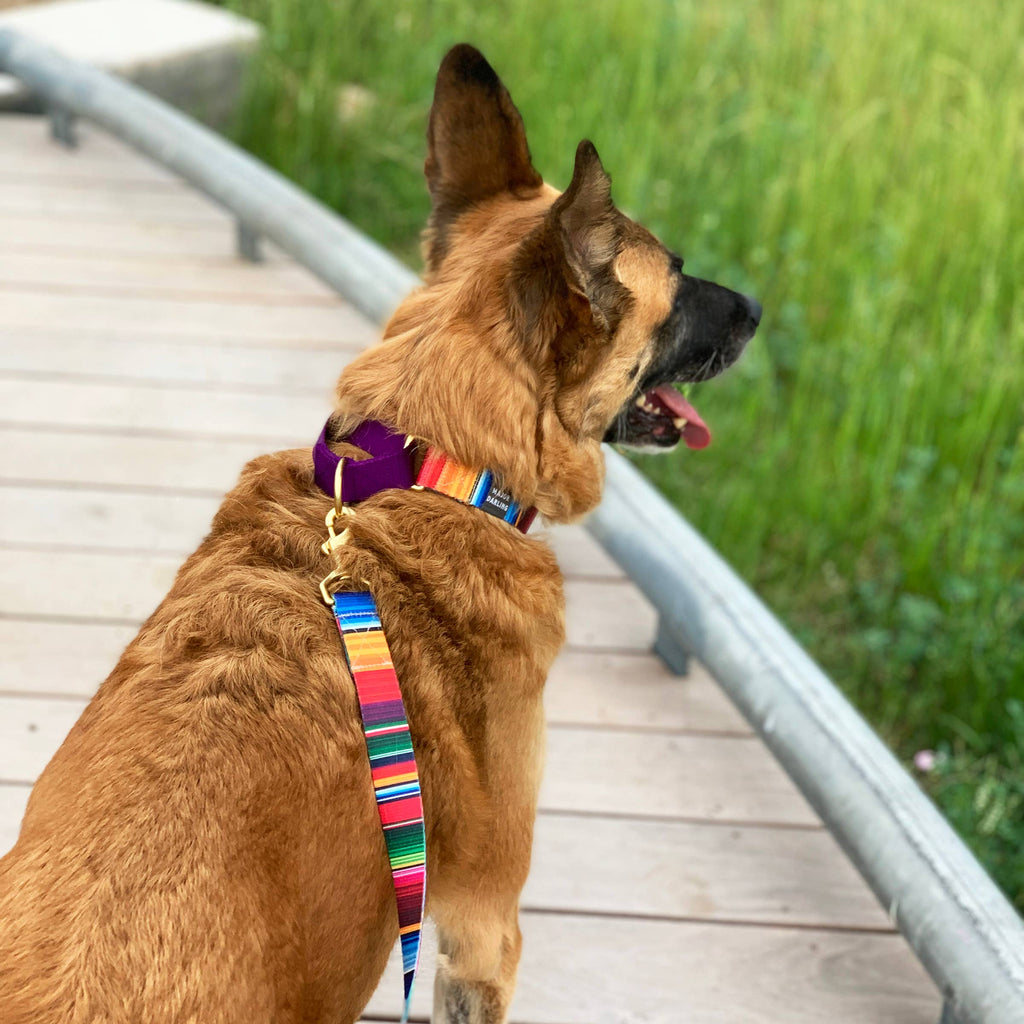 Serape Print Lead