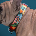 Loud and Proud Dog Collar