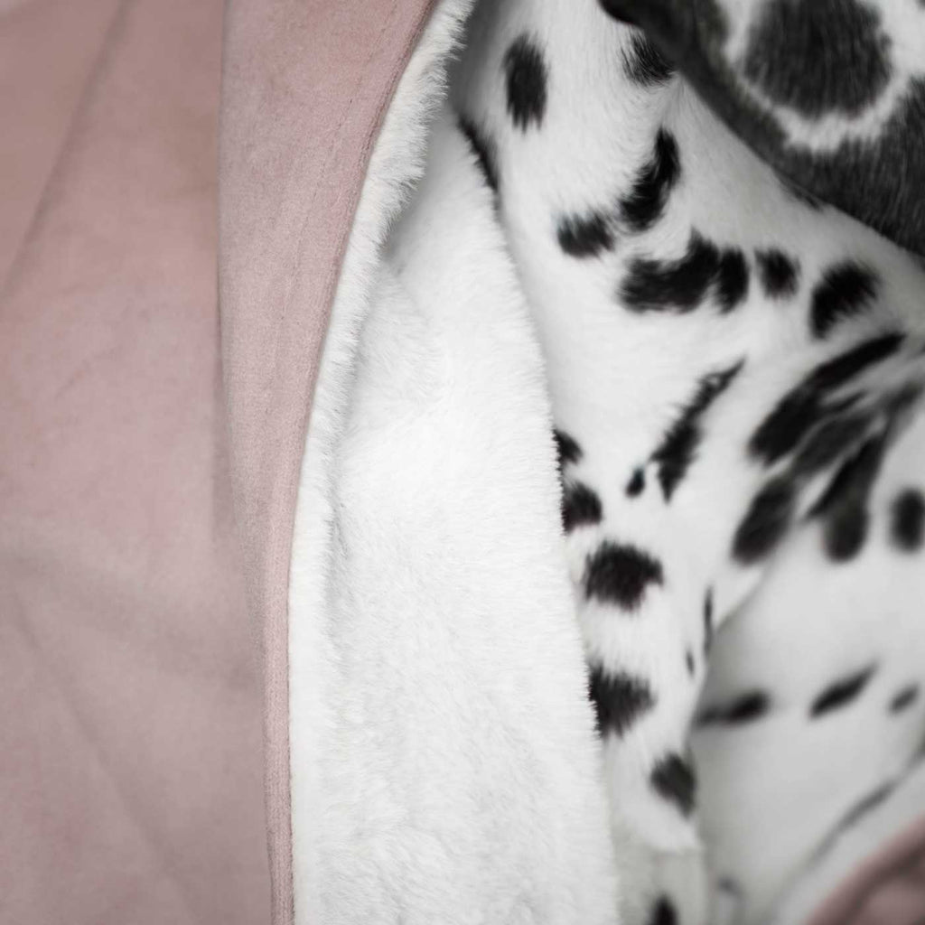 Dog & Puppy Blanket in Blossom Velvet