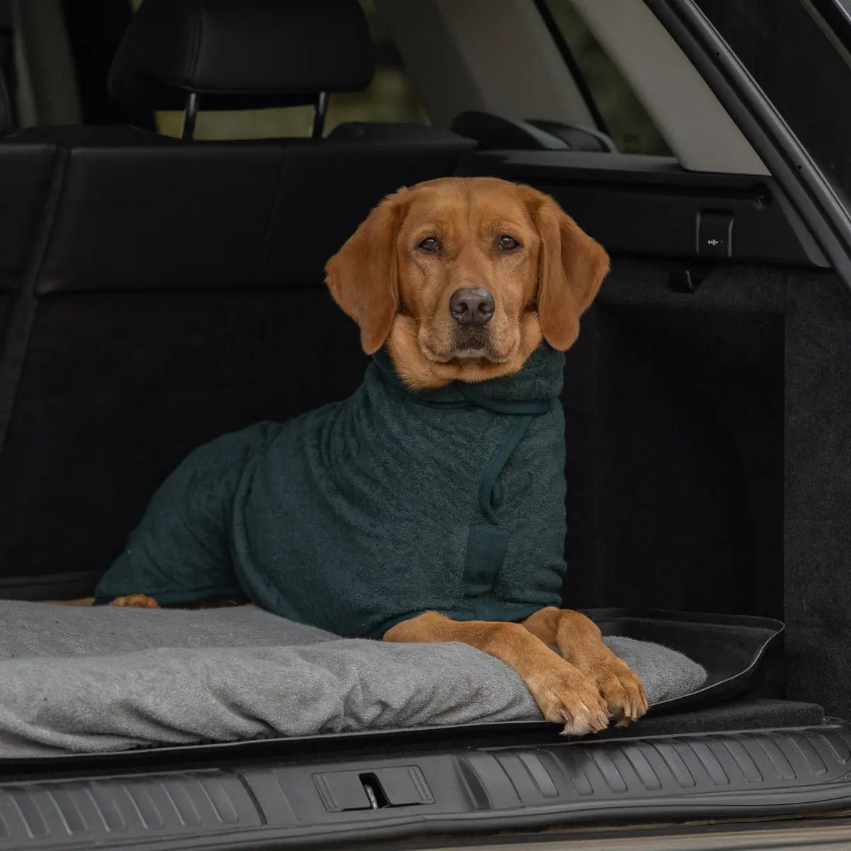 Classic Dog Drying Coat - Forest