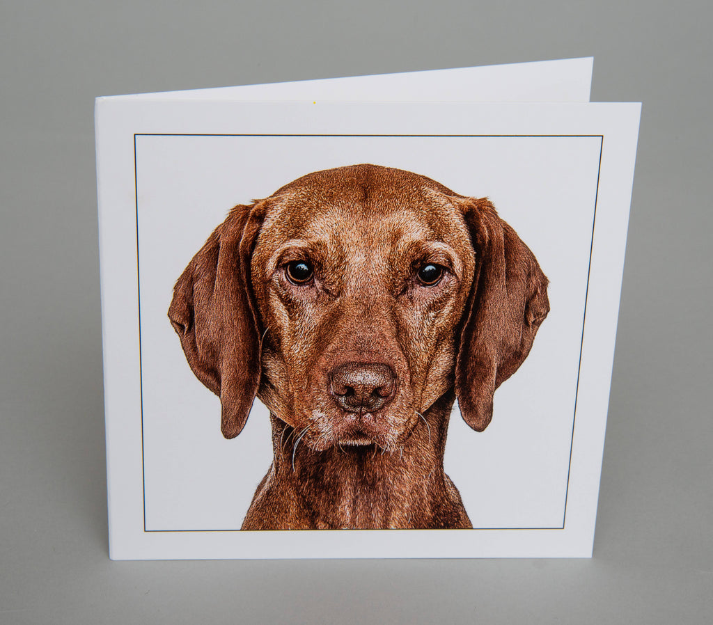 Vizsla - Dog Greeting Card