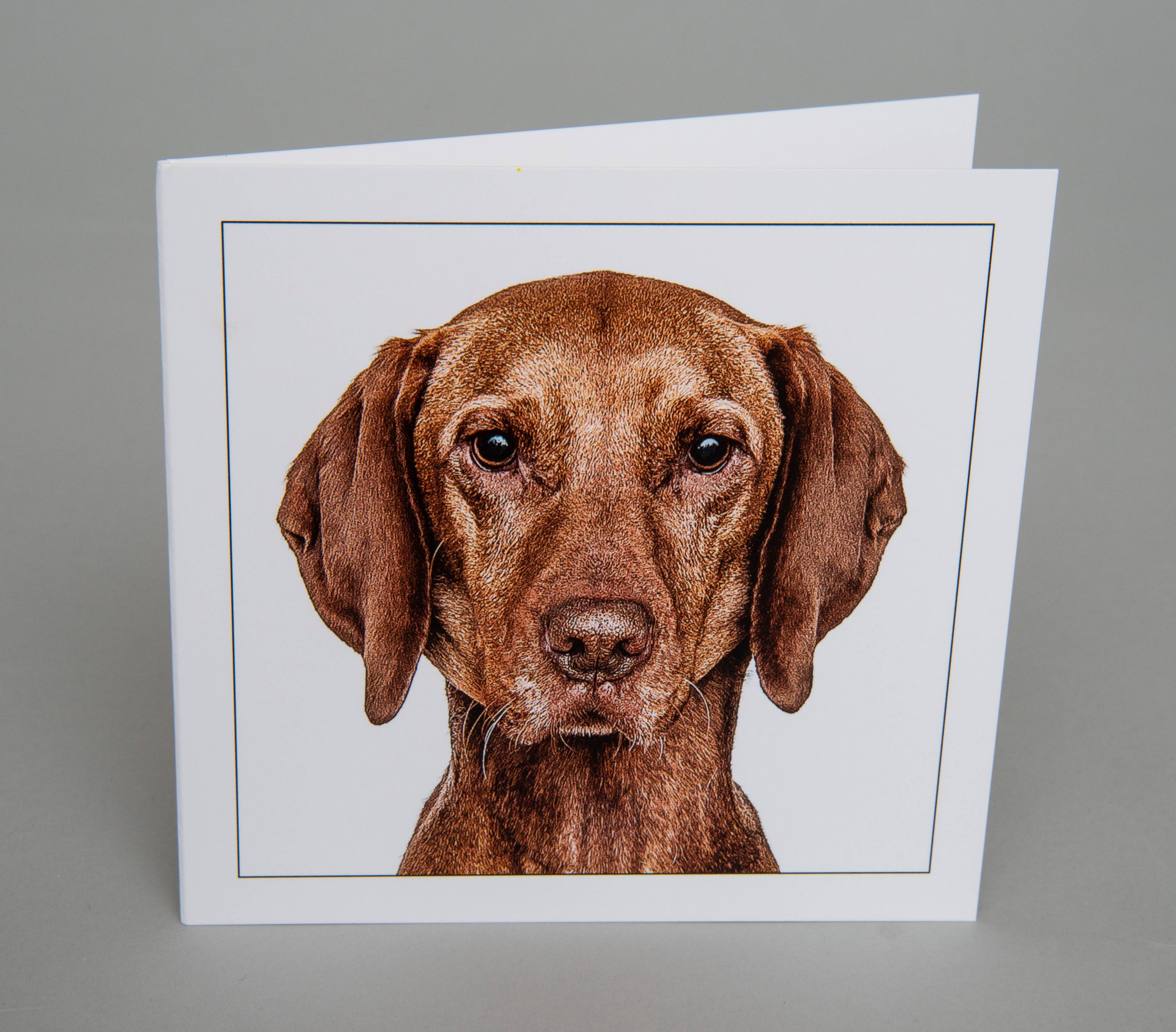 Vizsla - Dog Greeting Card