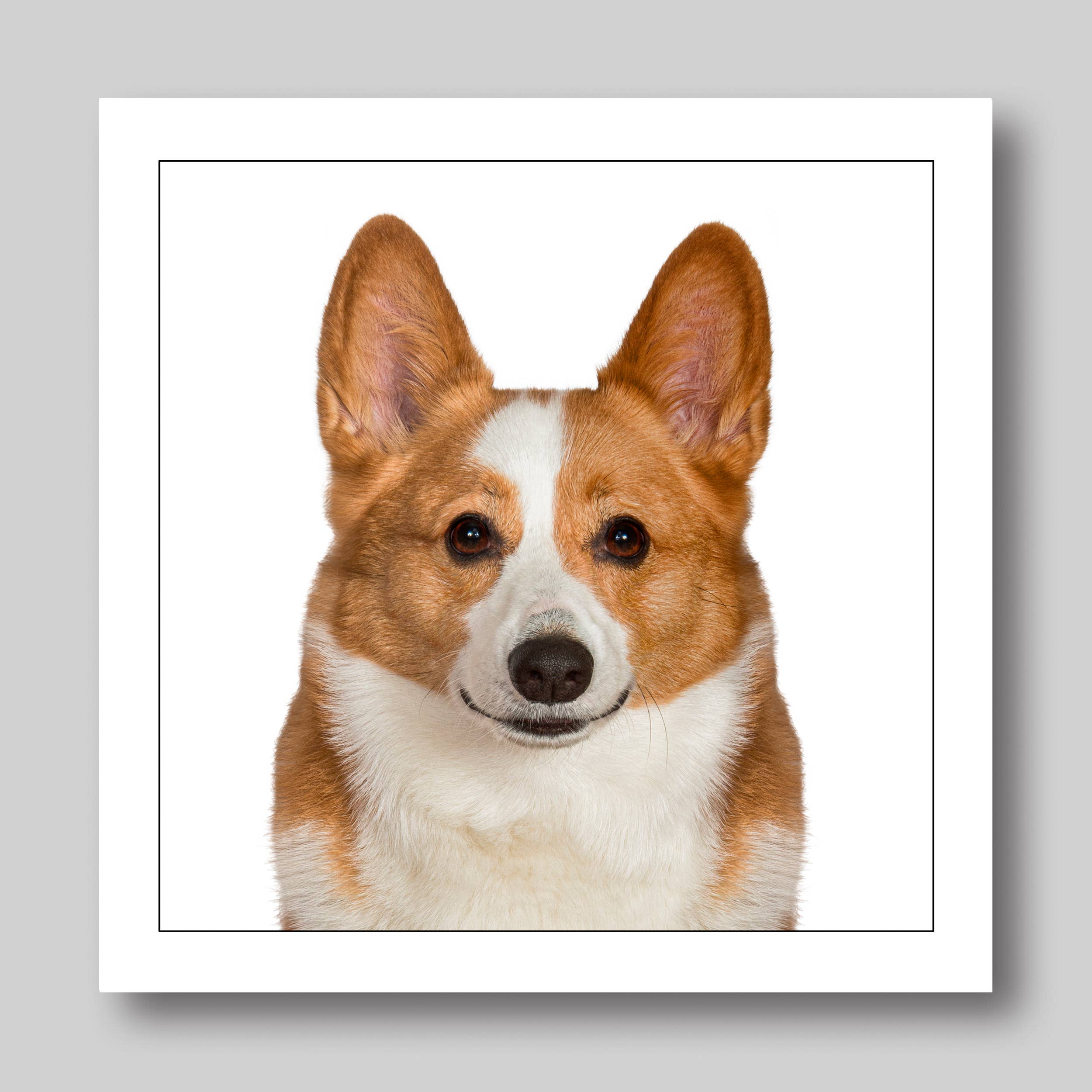 Corgi - Dog Greeting Card