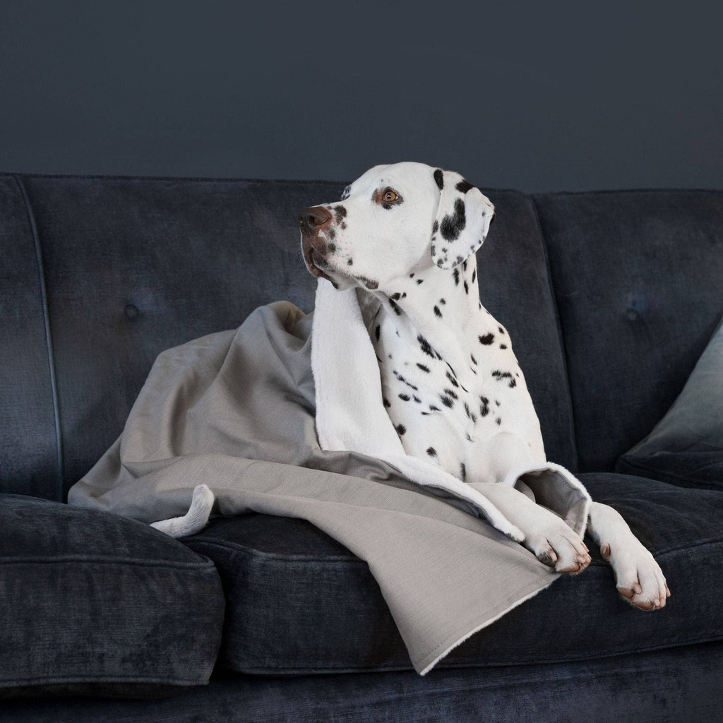 Dog & Puppy Blanket in Savanna Stone