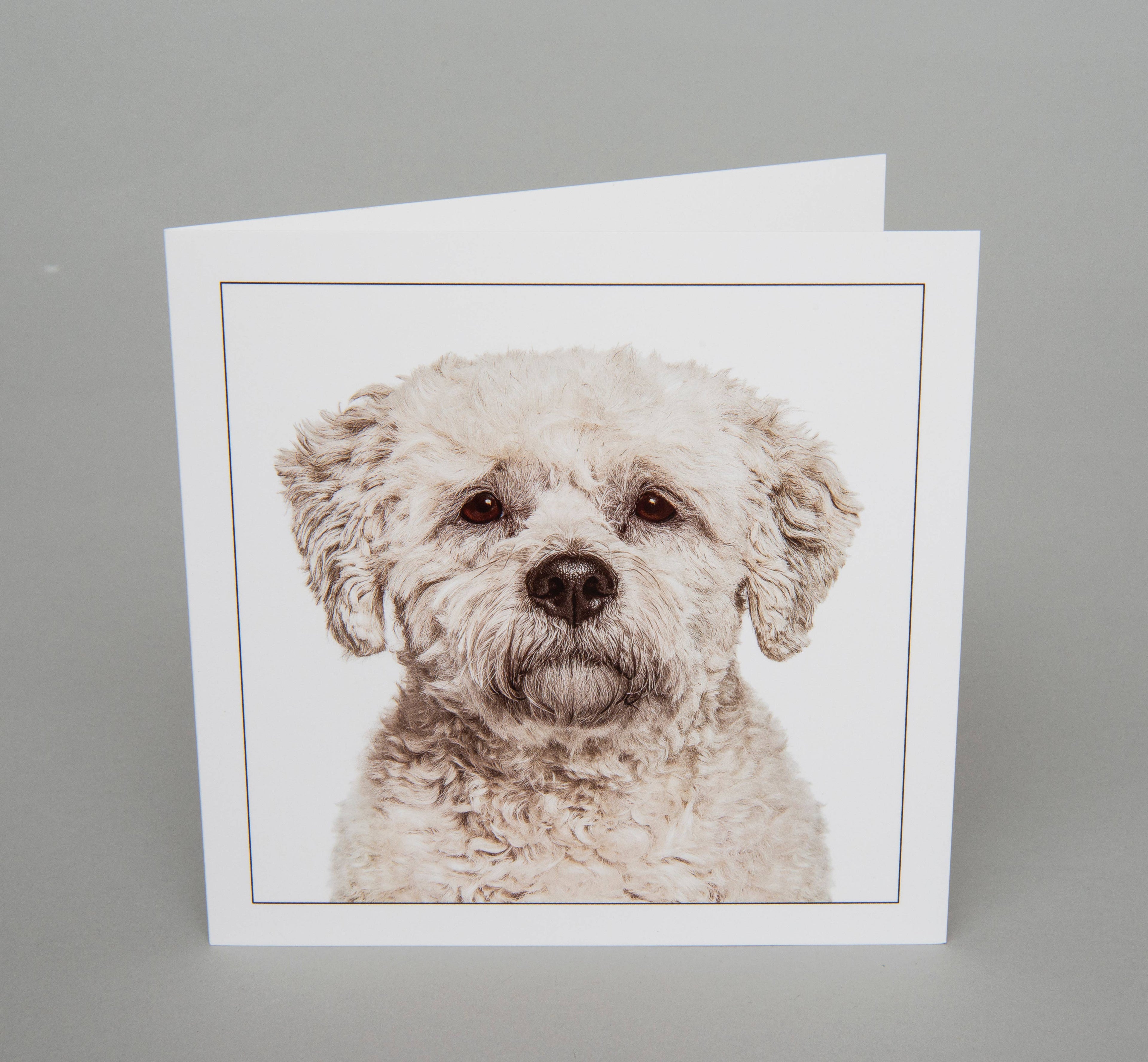 Bichon friese - Dog Greeting Card