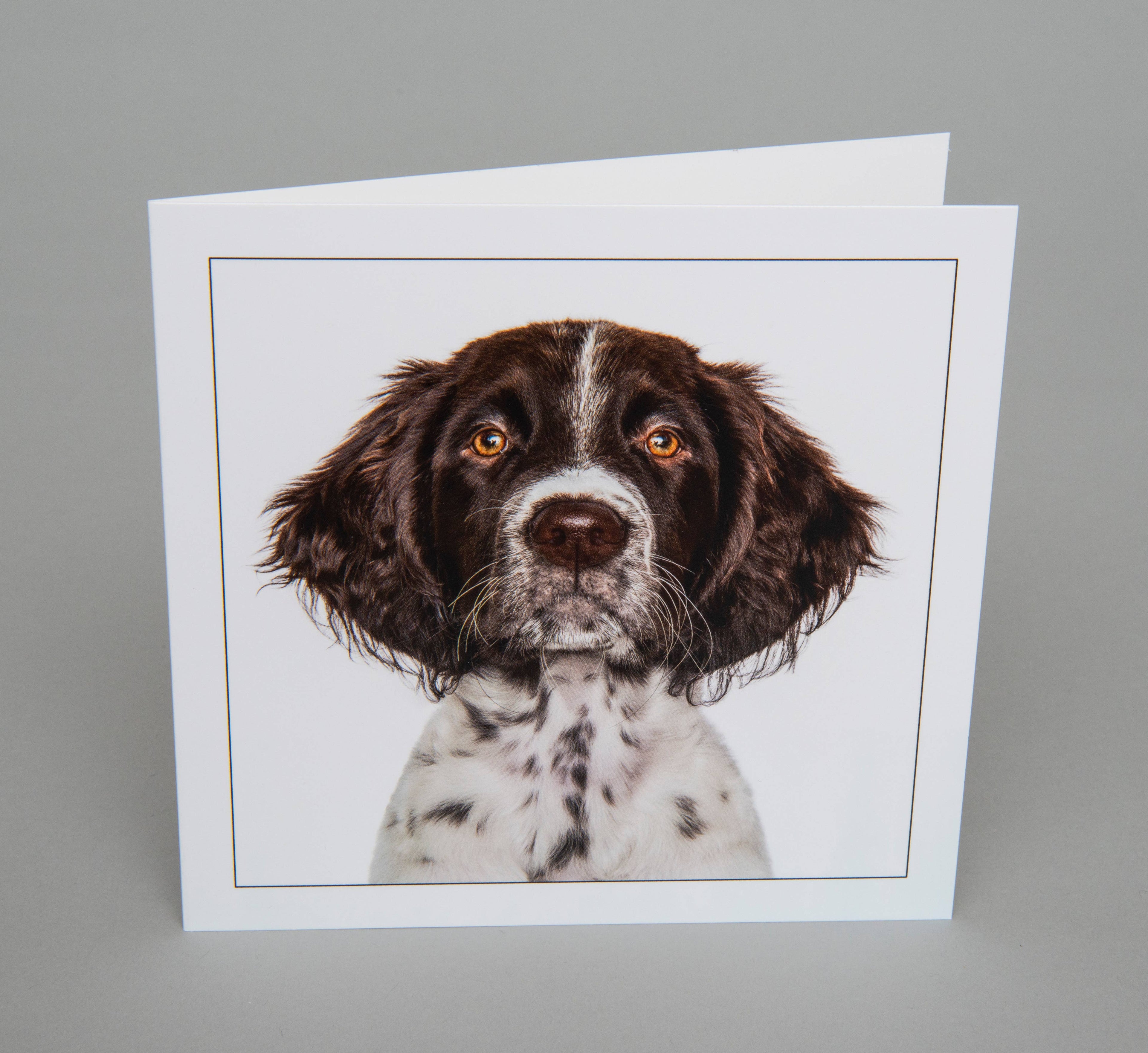 Pointer - Dog Greeting Card