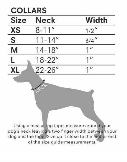 Bee Print Dog Collar-Grey