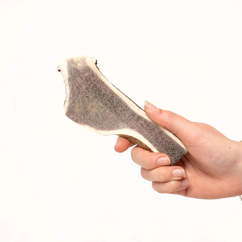 Deer Antler - split