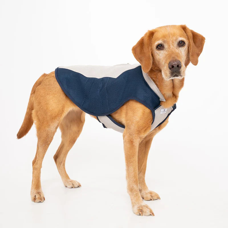 Dog Cooling Coat