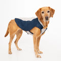 Dog Cooling Coat