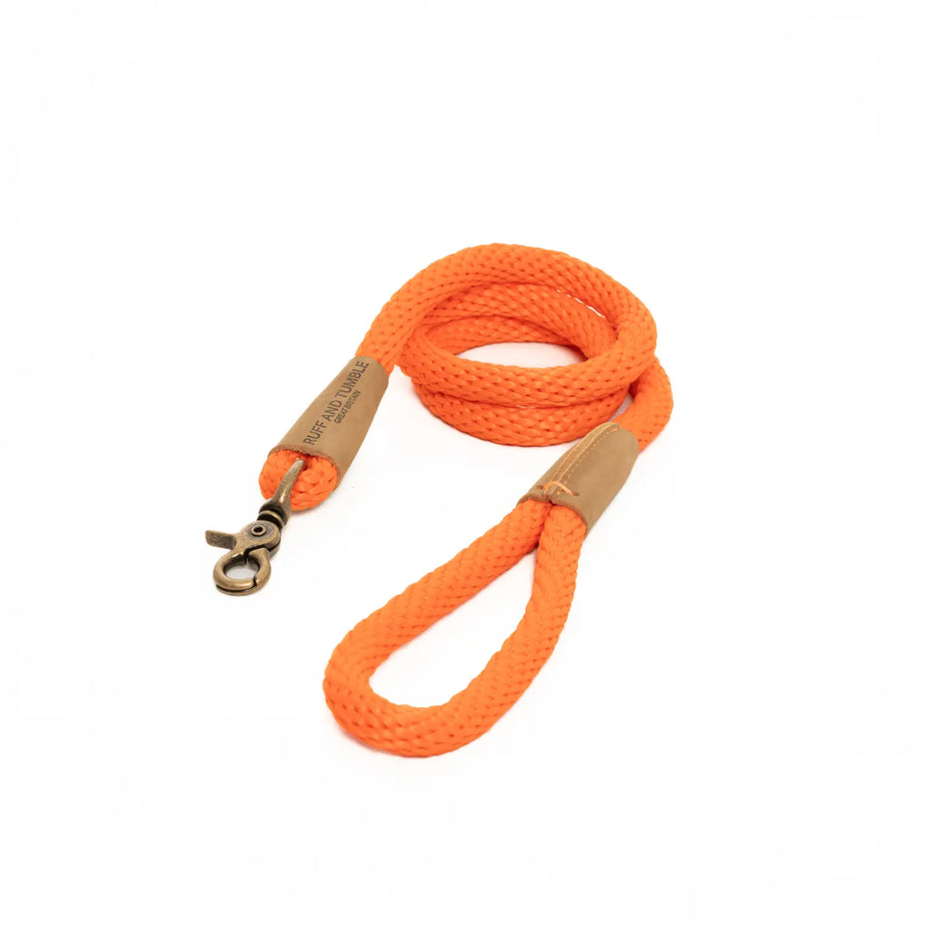 Slip Lead - Tangerine